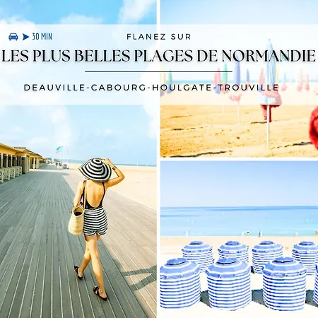 Contemporain Avec Terrasse En Centre Lejlighed Lisieux